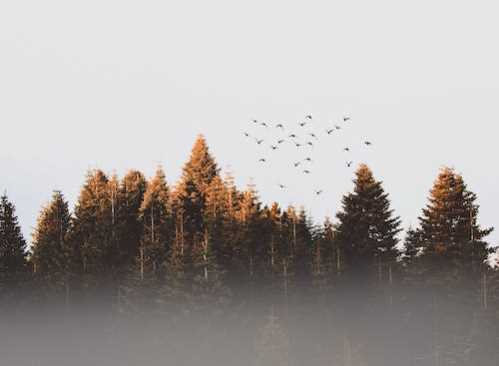 NBA湖人晋级NBA杯複赛机会渺茫主帅:失误让我们自毁前程