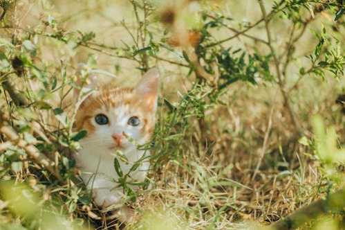 赵心童队录像 CBSA斯诺克苏州表演赛 对战vs傅家俊队回放 2025年12月28日 08:58:25比赛视频完整直播回看