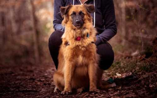 霍芬海姆队录像 德甲第17轮 对战vs门兴队回放 2026年01月15日 03:30比赛视频完整直播回看