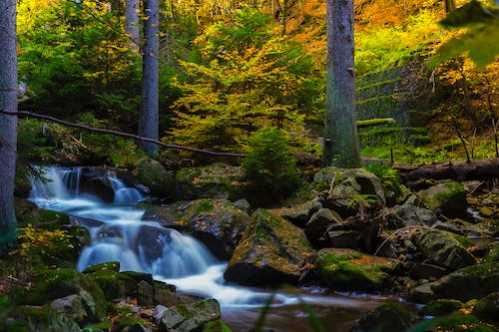 奥运冠军走进新疆理工学院 潘展乐展望未来路