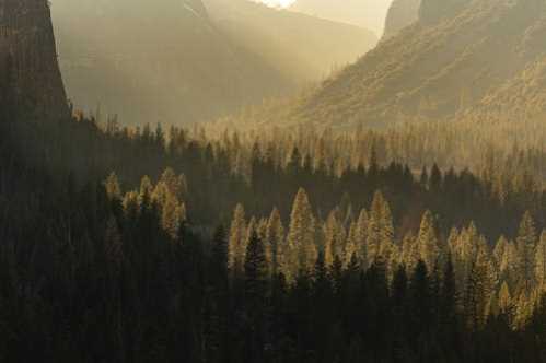 NBA场均抄截写生涯新高！雷霆4年逾26亿续约防守大锁秃曼巴
