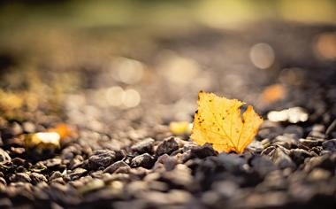 NBA柯瑞飙超扯三分球砍38分写耶诞大战最佳另有一纪录比肩詹皇