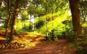 NBA巴特勒只打7分钟就伤退热火主帅：今天比赛很复古