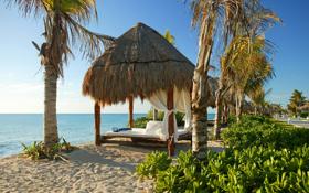 NBA公牛有意交易明星中锋美媒曝湖人、勇士成潜在下家